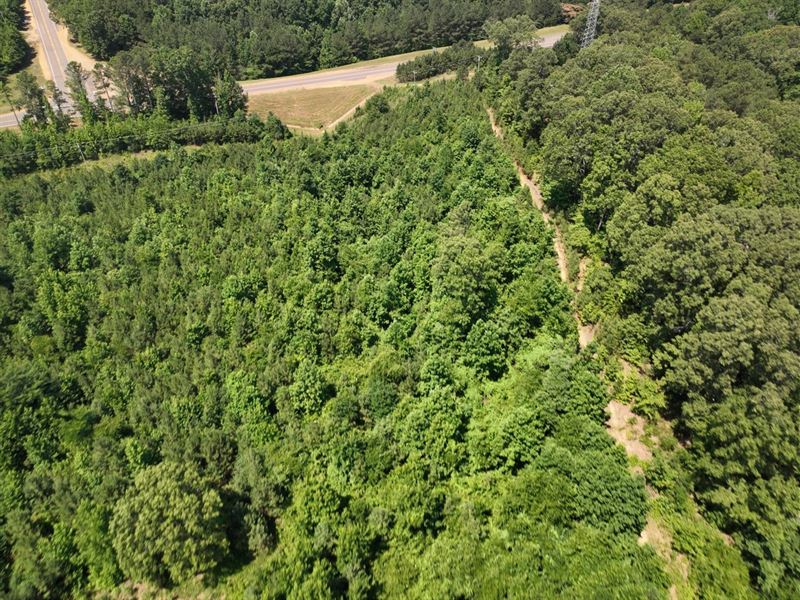 Monroe Co 162 Ac Timberland Tract : Greenwood Springs : Monroe County : Mississippi