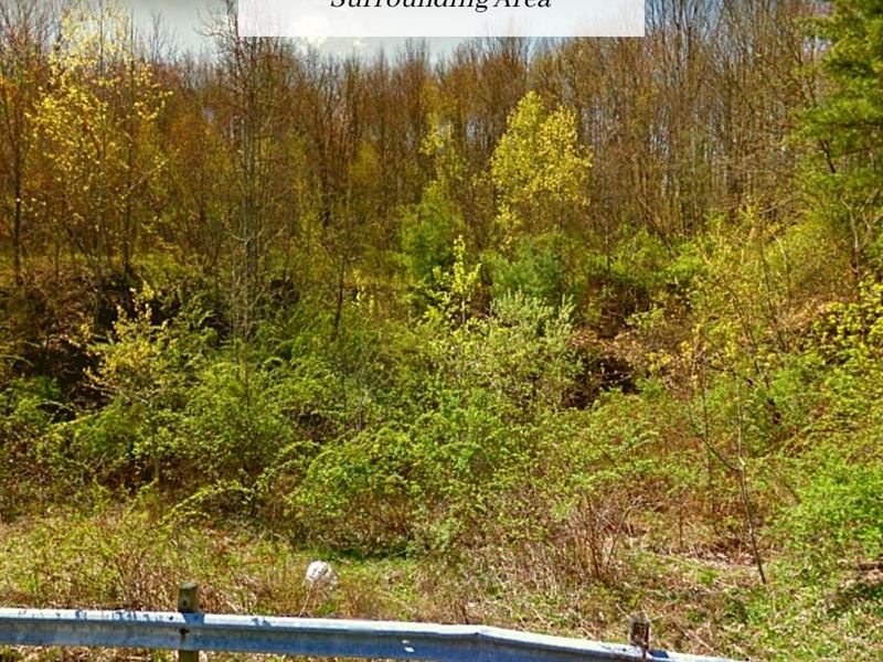 1.09 Acre Only $1 Down, $499/Mo : Binghamton : Broome County : New York