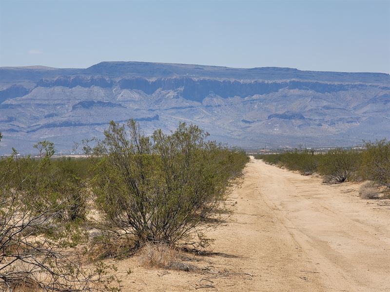 2.03 Acres Of Arizona Majesty : Yucca : Mohave County : Arizona