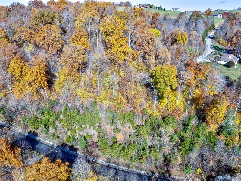 Norris Lake View & Lake Access Lot : New Tazewell : Claiborne County : Tennessee
