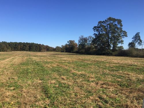 Copiah Pasture Land : Wesson : Copiah County : Mississippi