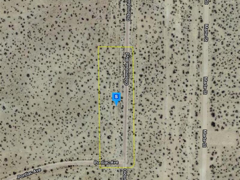 Sparse Suburban Feel : California City : Kern County : California
