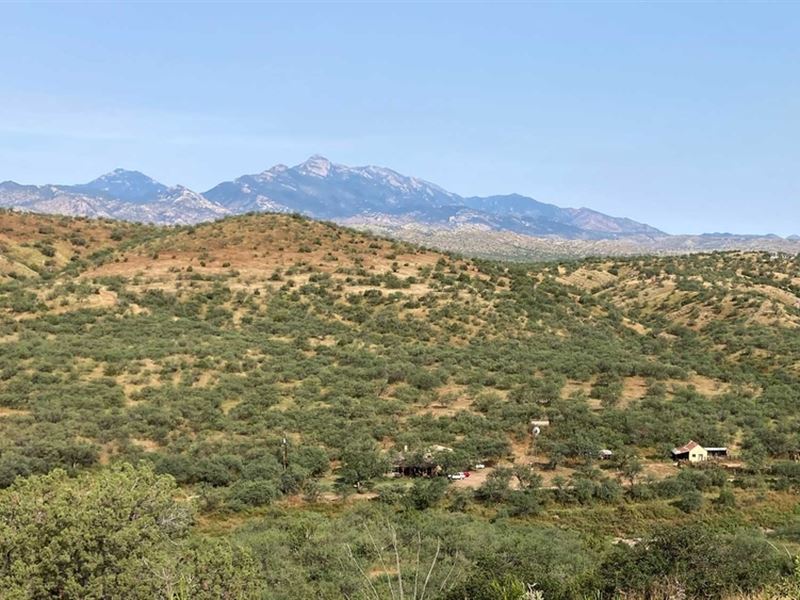 Saddle Up Ranch : Patagonia : Santa Cruz County : Arizona