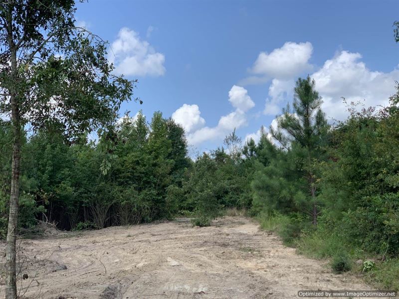 Secluded 44 +/- Ac in Scott County : Pulaski : Scott County : Mississippi