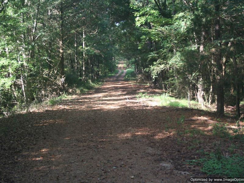 38 +/- AC in Yazoo County, MS : Benton : Yazoo County : Mississippi