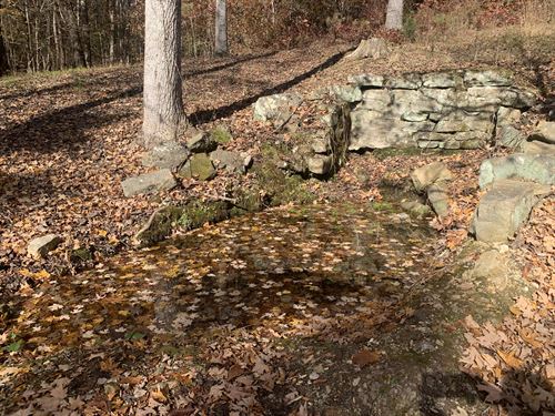Gorgeous Property with Springs : Waynesboro : Wayne County : Tennessee