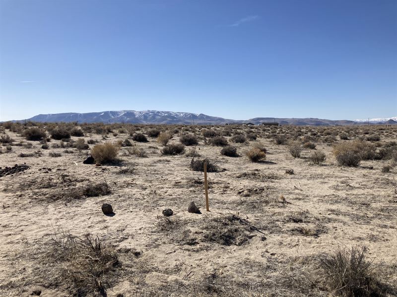 Beautiful, Buildable Desert Lot : Silver Springs : Lyon County : Nevada