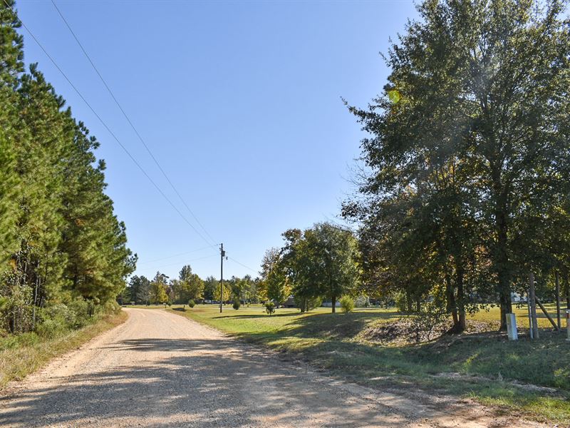 Reduced, Spacious Wooded Lot, Clean : Bastrop : Morehouse Parish : Louisiana