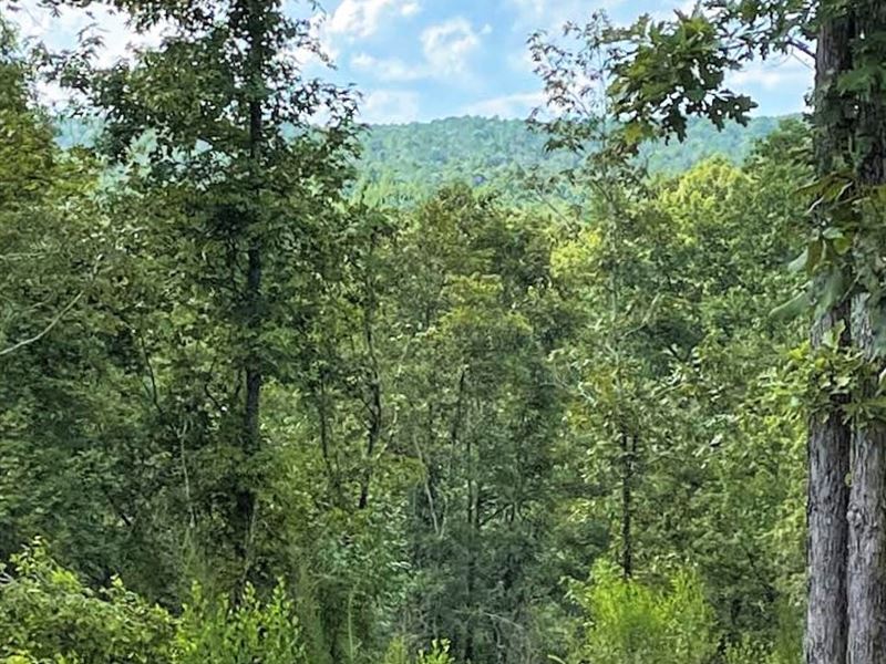 County Road 298 : Smiths Station : Lee County : Alabama
