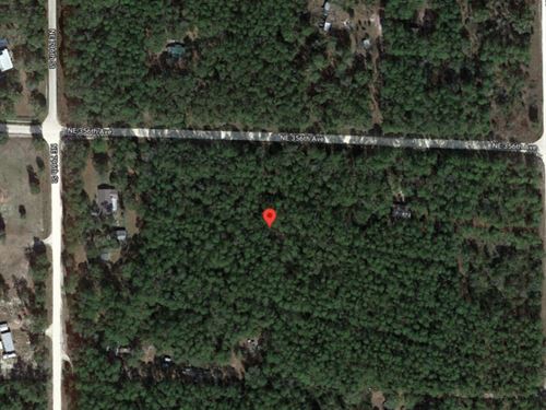 2 AC Lot Near Suwannee River : Old Town : Dixie County : Florida