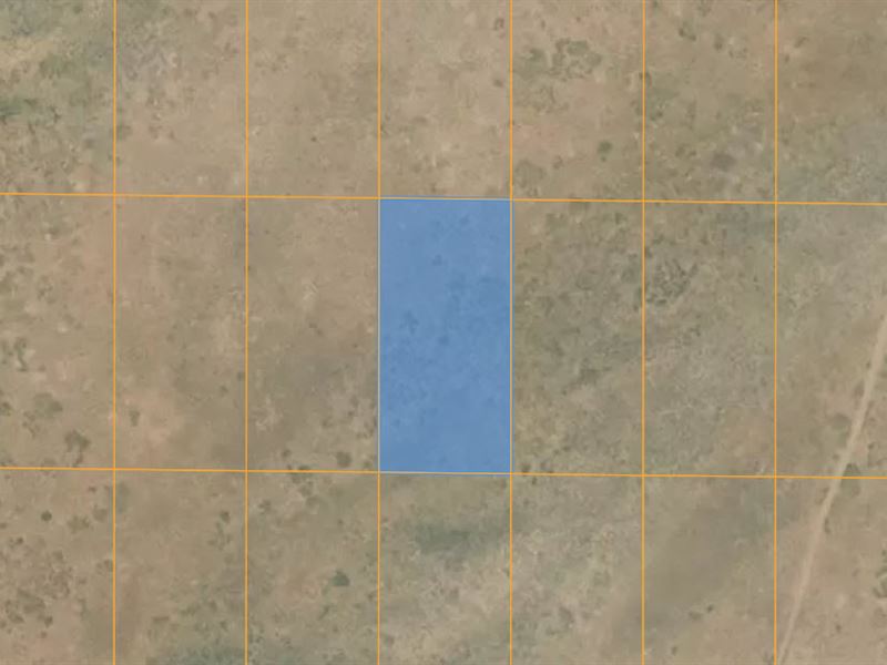 1.25 Acres Near Petrified Forest : Holbrook : Navajo County : Arizona