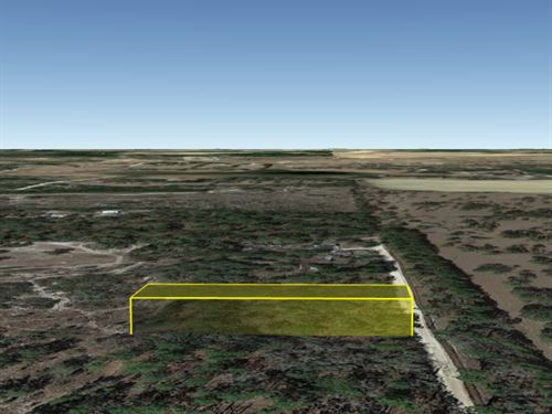 .46 Ac Mobile Home Lot in Florida : Morriston : Levy County : Florida