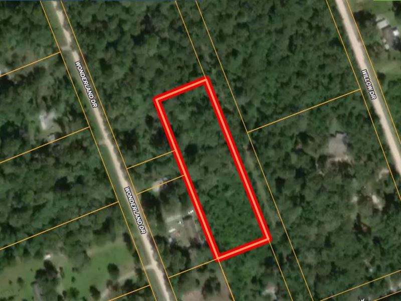 2.029 Acres in San Jacinto County : Houston : San Jacinto County : Texas