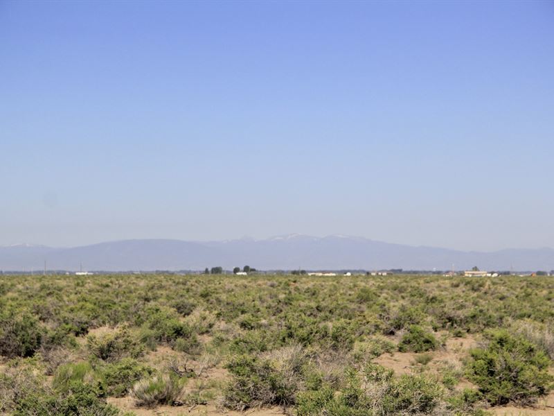 1.18 Ac, Alamosa County, $49 Down : Alamosa : Alamosa County : Colorado