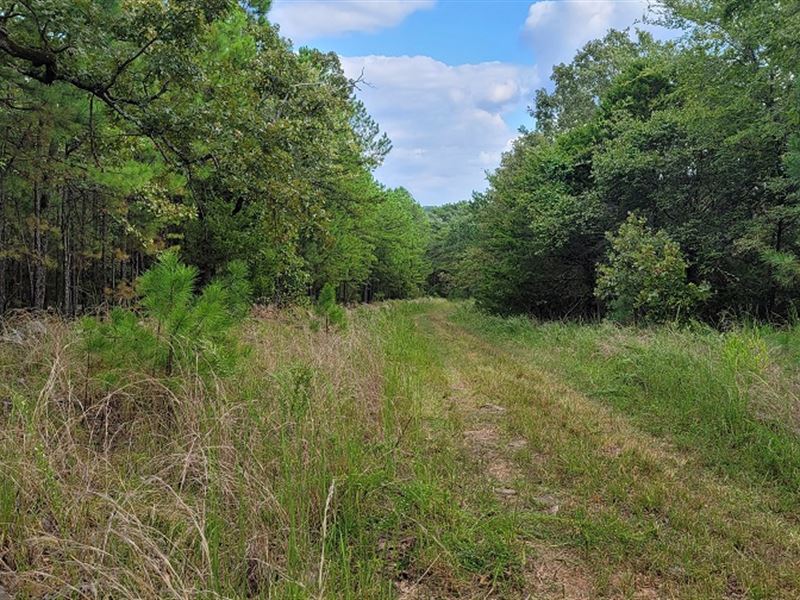 Blue Mountain 20 : Wilburton : Latimer County : Oklahoma