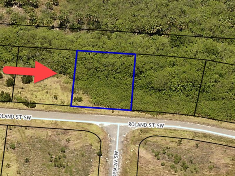 Affordable Lot Near Cocoa Beach : Palm Bay : Brevard County : Florida