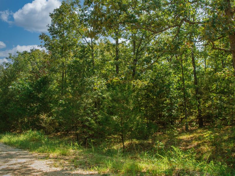Vacant Lot Near 3 Lakes & Golf : Horseshoe Bend : Izard County : Arkansas