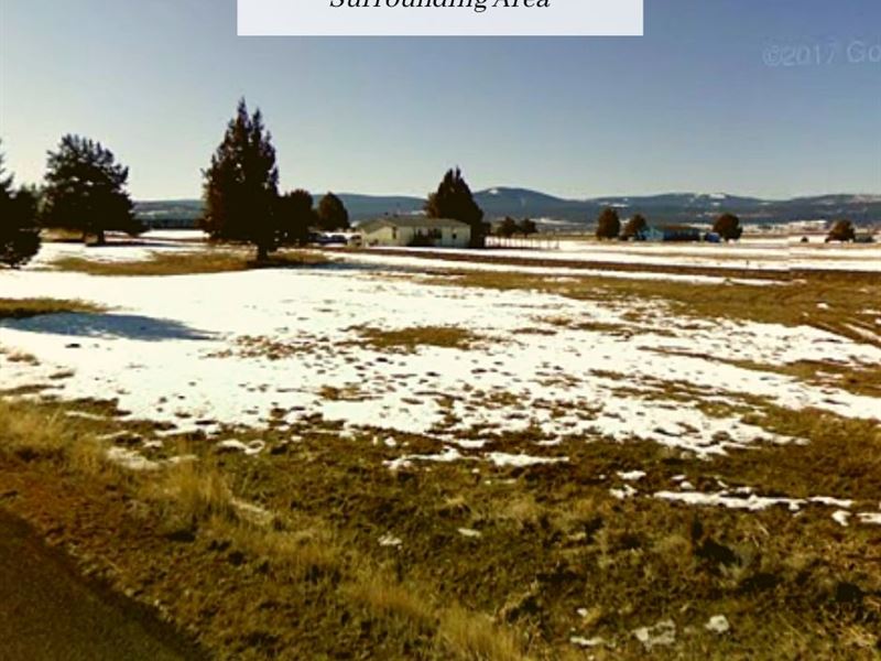 1.47 Acres Only $1 Down, $199/Mo : Alturas : Modoc County : California
