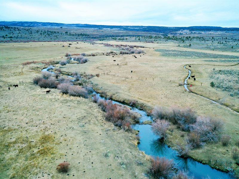 Miller Cattle & Hunting Ranch : Oreana : Owyhee County : Idaho