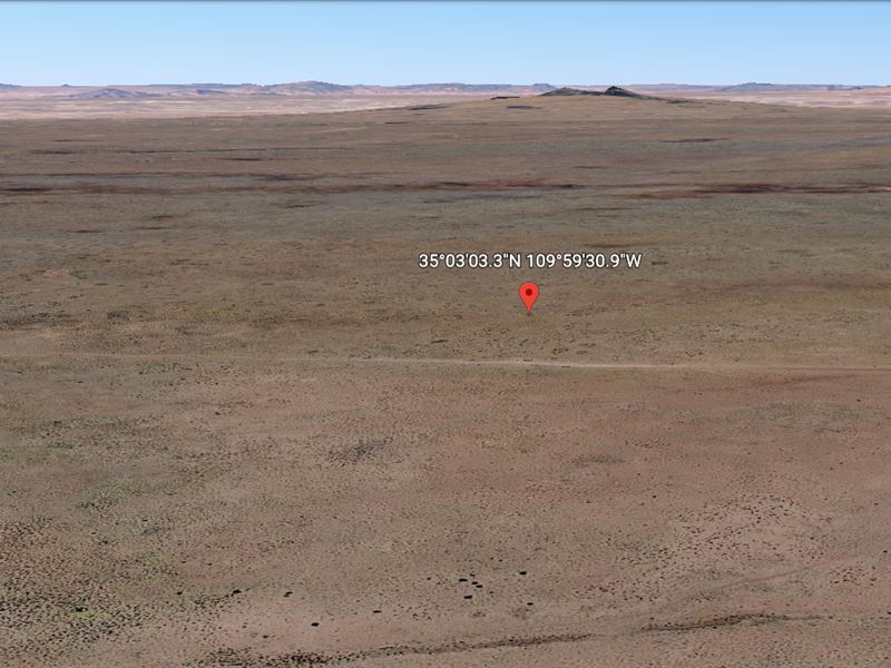 1.25 AC in AZ for Just $1 Down : Sun Valley : Navajo County : Arizona