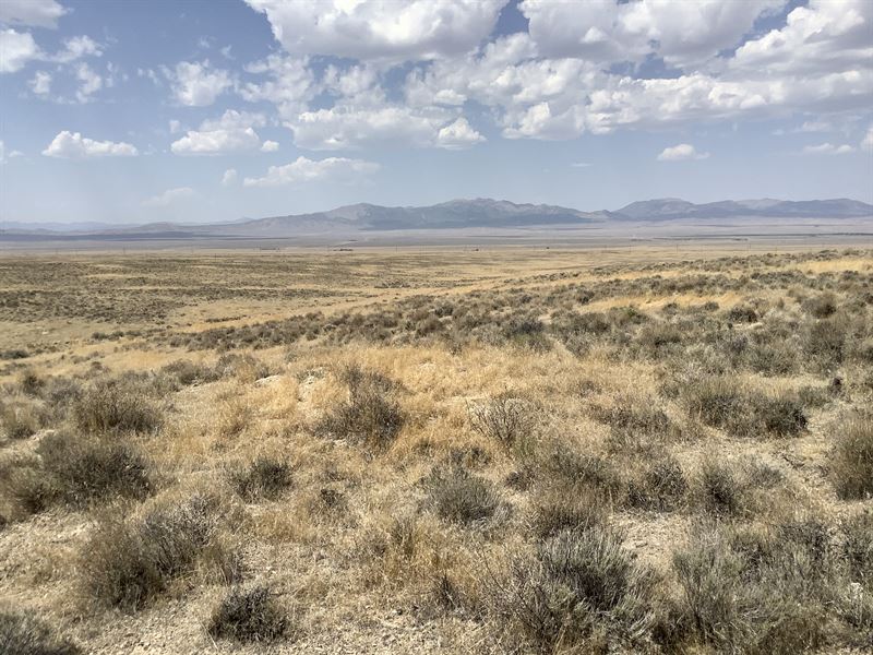 There is a Little Cowboy in Us All : Mill City : Pershing County : Nevada