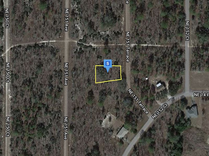 Beautiful, Buildable Lot in FL : Williston : Levy County : Florida