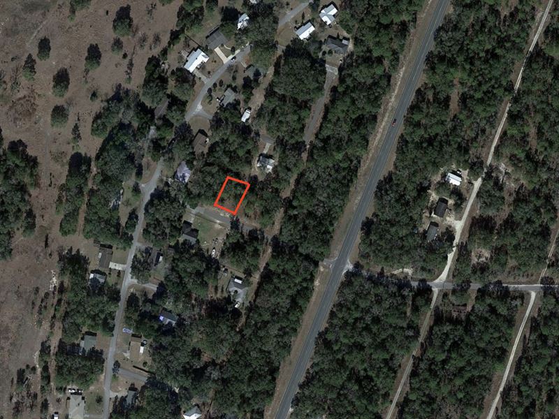 Beautiful, Buildable Lot in FL : Williston : Levy County : Florida