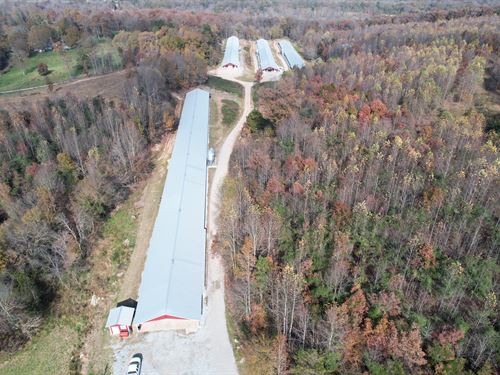 Clean 4 House Breeder Poultry Farm : Maysville : Banks County : Georgia