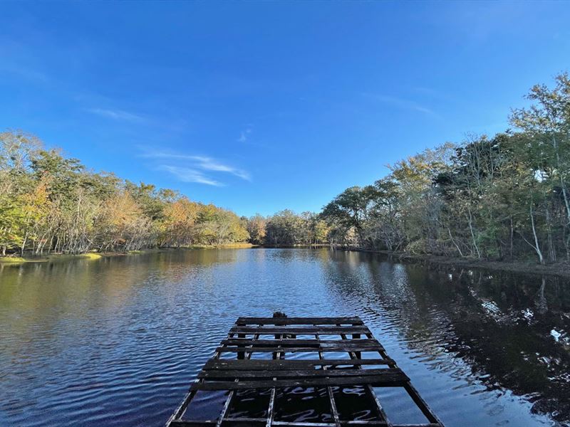 Pioneer Road Tract : Theodore : Mobile County : Alabama