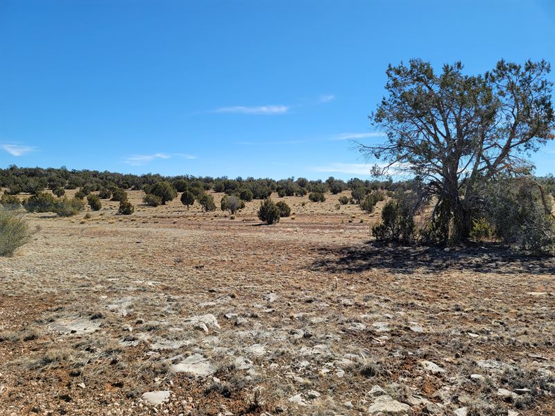 Your Slice of The Pie : Ash Fork : Yavapai County : Arizona