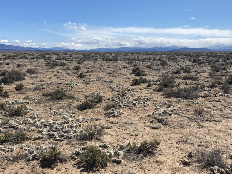 Wide Open Space and Easy Access : Blanca : Costilla County : Colorado
