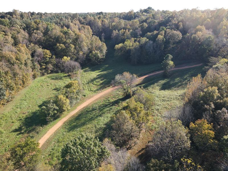 Tennessee Land Auction : Pulaski : Giles County : Tennessee