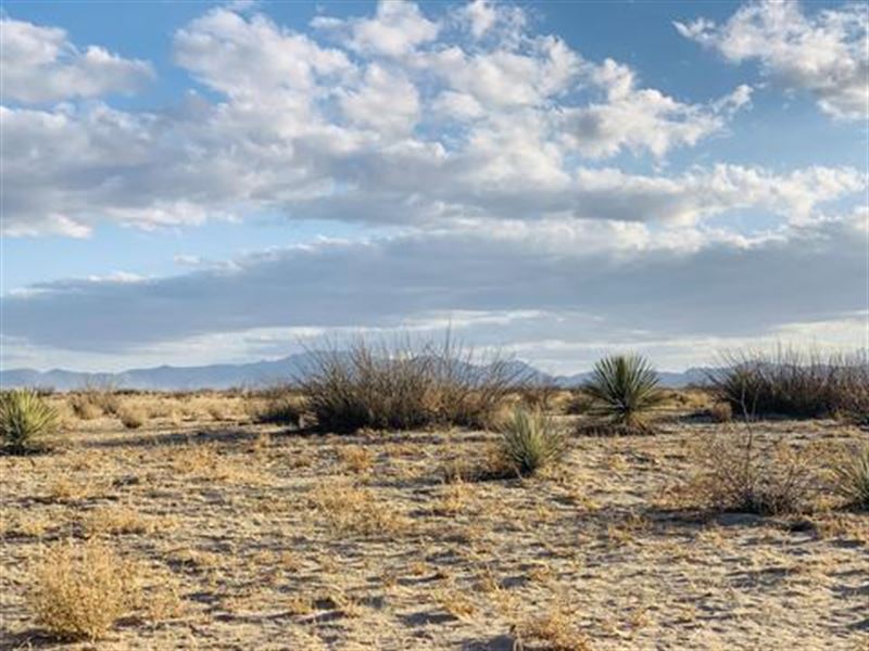Dream 1.25 Acre Property in AZ : Vernon : Apache County : Arizona