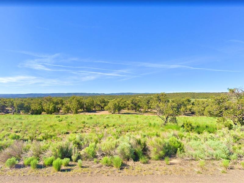 .24 Ac Duchesne County, $200/Month : Duchesne : Duchesne County : Utah