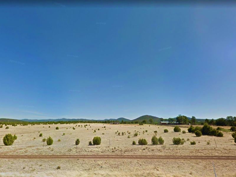 .29 Acre in Show Low, Arizona : Show Low : Navajo County : Arizona