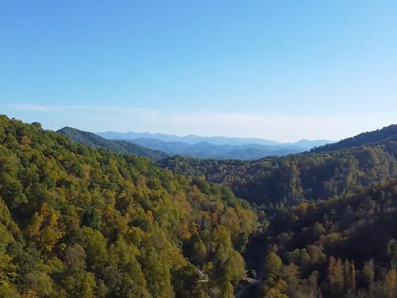 5 Acres Ready for Your Dream Cab : Mars Hill : Yancey County : North Carolina