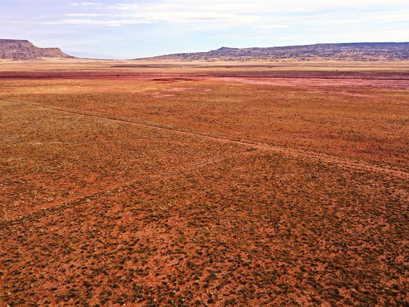 2.13 Ac Valencia County, $99 Down : Valencia : Valencia County : New Mexico