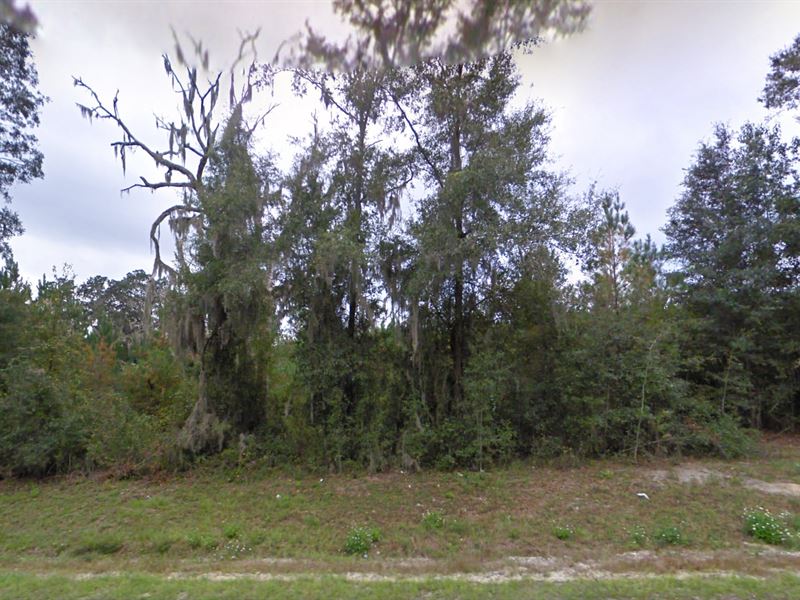 .23 Acre in Live Oak, Florida : Live Oak : Suwannee County : Florida