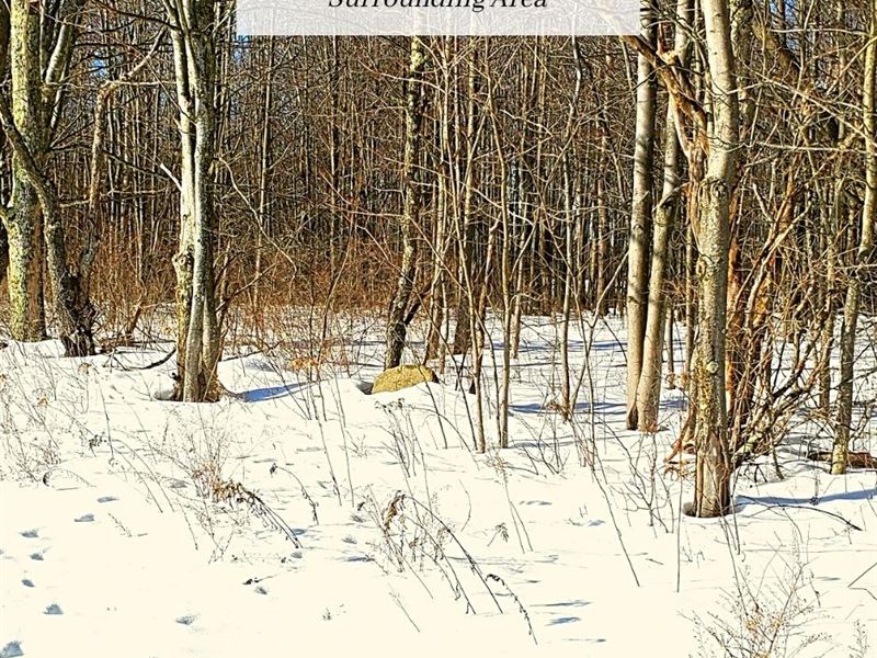 1 Ac Only $1 Down, $299/Mo : Corning : Steuben County : New York
