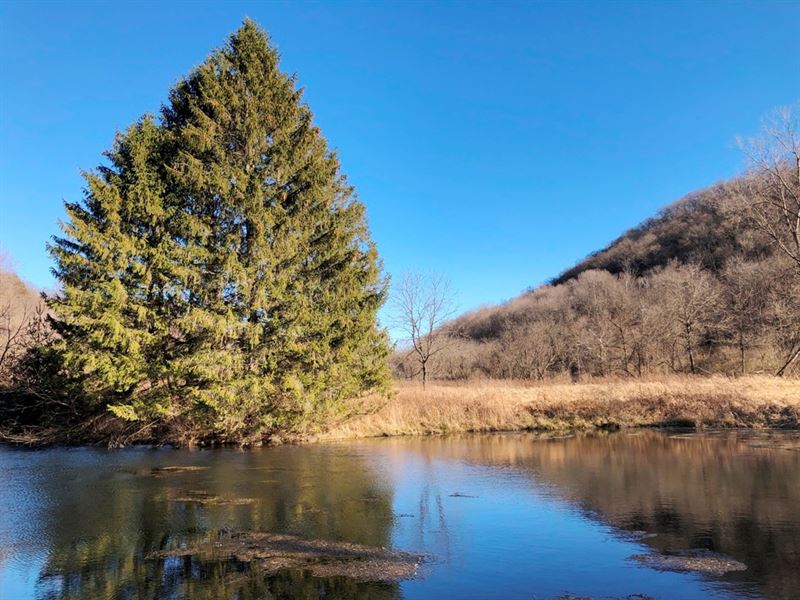 Crawford County Woods and Water : Gays Mills : Crawford County : Wisconsin