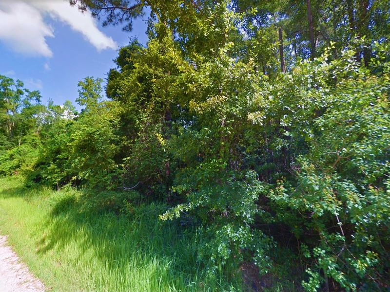 .29 Acre in Waveland, Mississippi : Waveland : Hancock County : Mississippi