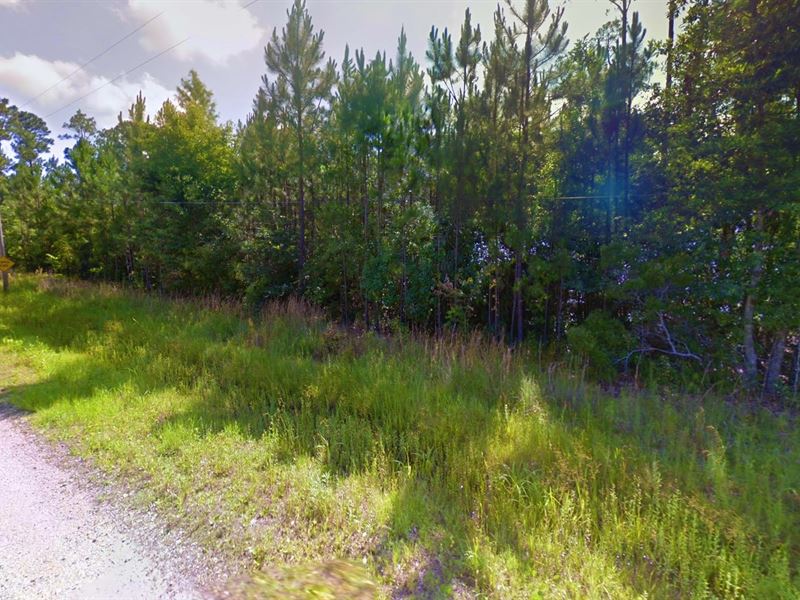 .16 Acre in Waveland, Mississippi : Waveland : Hancock County : Mississippi