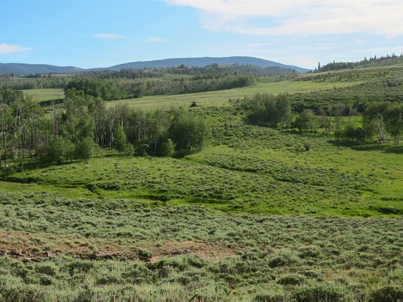 Lazy K Ranch : Encampment : Carbon County : Wyoming