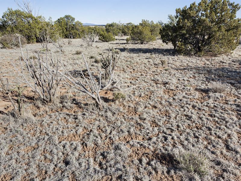 1 Acre for Sale in Torrance County : McIntosh : Torrance County : New Mexico