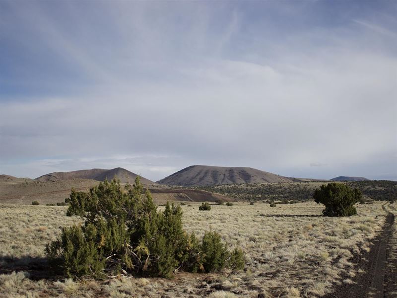 Remarkable 1 Acre Off Grid Lot : Concho : Apache County : Arizona