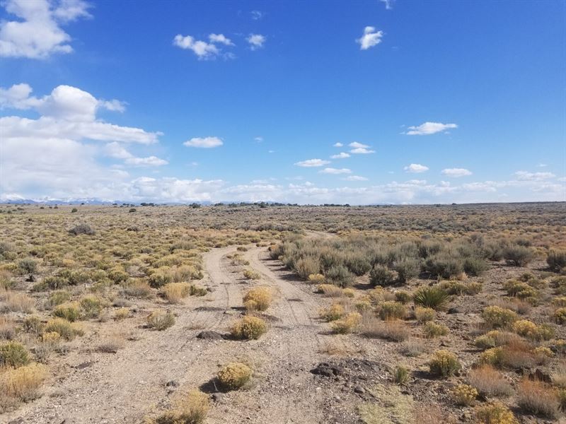 Enjoy The Fresh Mountain Air : Blanca : Costilla County : Colorado