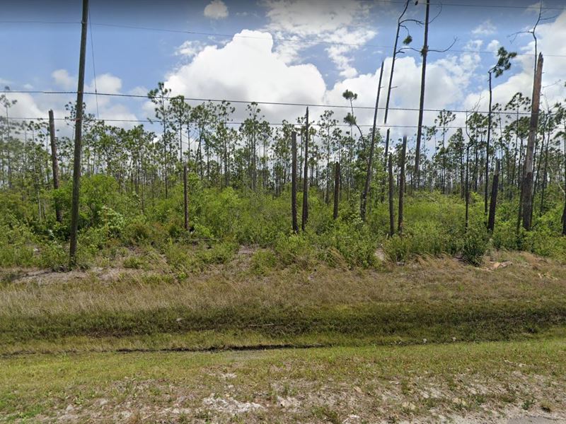 Rare Lot in Bay County, FL : Callaway : Bay County : Florida
