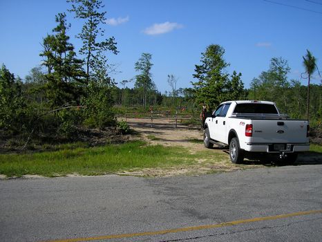 Near I-95 : Darien : McIntosh County : Georgia