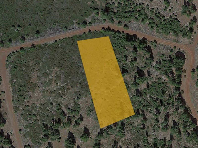 Land for Your Quiet Country Retreat : Alturas : Modoc County : California