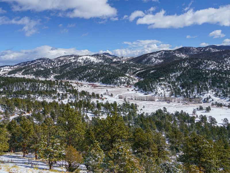 Wooded Mountain Land, Electricity : Westcliffe : Custer County : Colorado